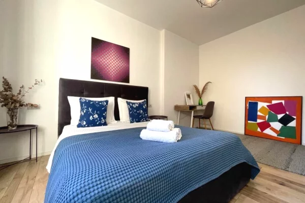 Shtepi me qera Apartament ne Tirane, 1+1, Mobilimi E mobiluar, Pagesa 60,000  Leke.