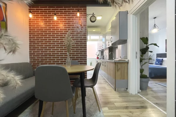 Shtepi me qera 1+1 ne Tirane - 60,000 Leke