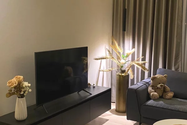 Apartment for rent in Tirana 2+1, Furnished