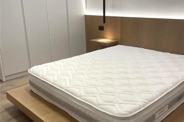 Shtepi me qera Apartament ne Tirane, 1+1, Mobilimi E mobiluar, Pagesa 50,000  Leke.