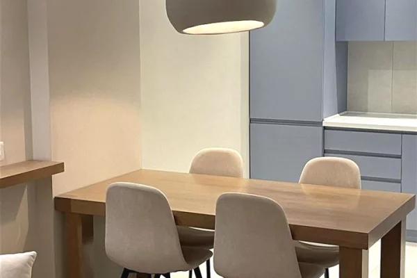 Shtepi me qera Apartament ne Tirane, 1+1, Mobilimi E mobiluar, Pagesa 50,000  Leke.