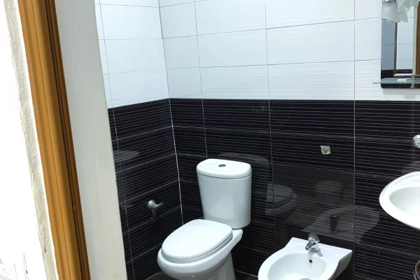 Shtepi me qera Apartament ne Tirane, 1+1, Mobilimi E mobiluar, Pagesa 40,000  Leke.