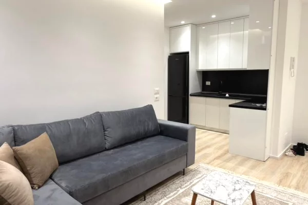 Apartment for rent in Tirana 1+1, Emty