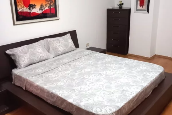 Shtepi me qera Apartament ne Tirane, 1+1, Mobilimi E mobiluar, Pagesa 600  Euro.