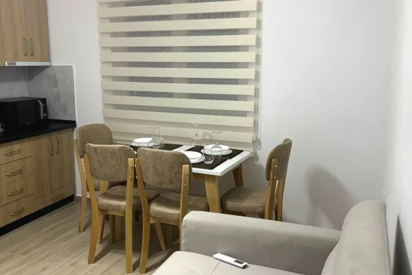 Private house for rent in Tirana 1+1, Furnished