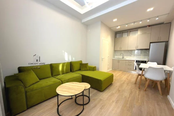 House for Rent 1+1 in Tirana - 50,000 Leke