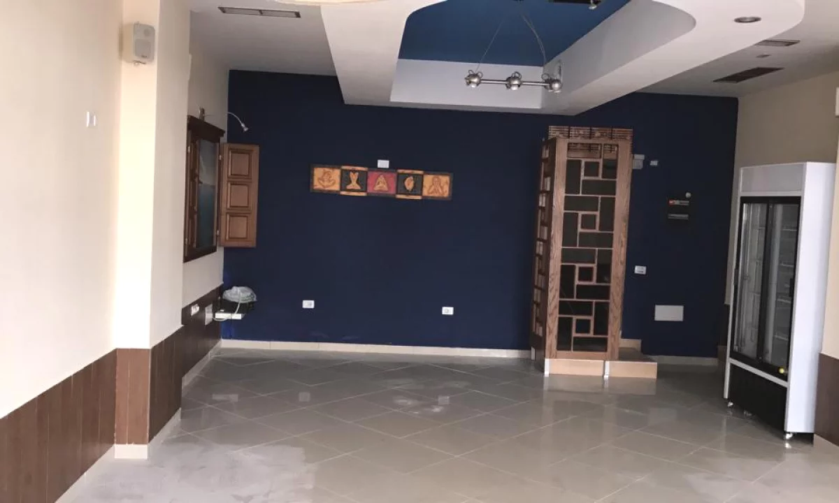 SHITET LOKAL – KOMPLEKSI VIZION PLUS