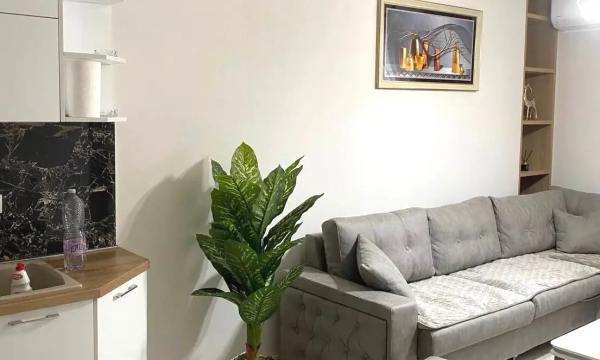 Appartamento in affitto a Tirana 2+1, Arredato