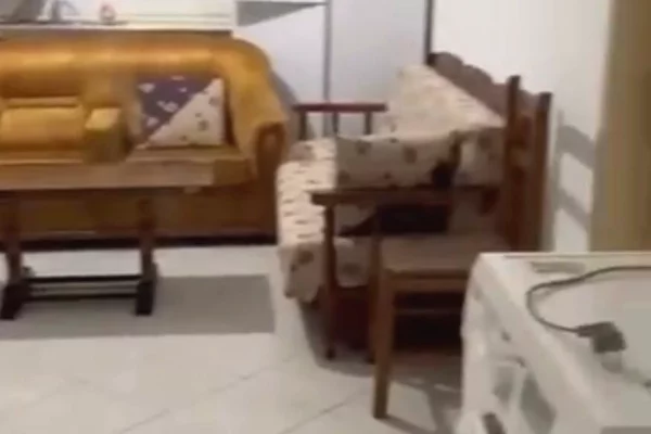 Apartment for rent in Tirana 1+1, Furnished