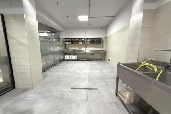 Ambient biznesi me qera 4+1 ne Tirane - 6,000 Euro