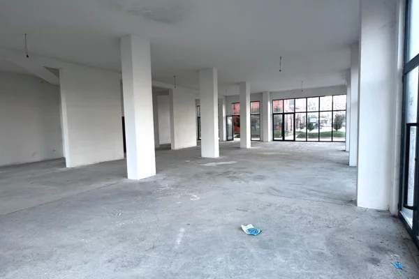 Ambient biznesi me qera 1+1 ne Tirane - 5,000 Euro