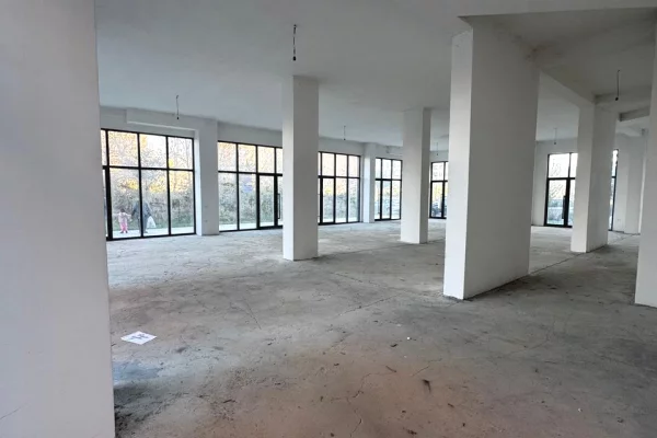 Ambient biznesi me qera 1+1 ne Tirane - 5,000 Euro