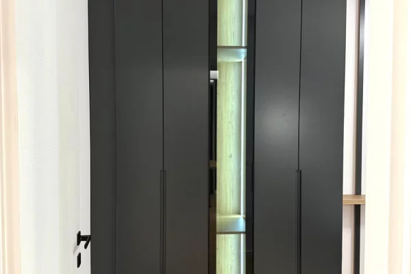 Appartamento in affitto a Tirana 1+1, Arredato