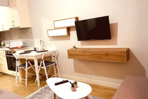 Apartament me qera 1+1 ne Zog te Zi/ 650 Euro.