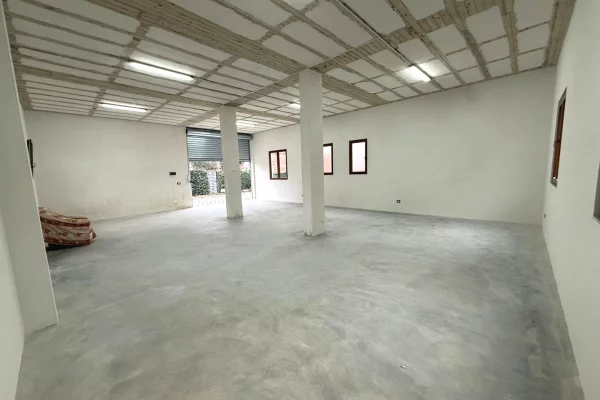 Ambient biznesi me qera 4+1 ne Tirane - 650 Euro