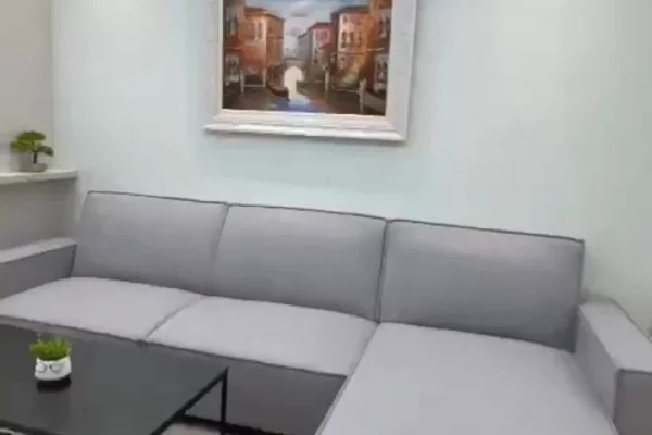 Shtepi me qera Apartament ne Tirane, 1+1, Mobilimi E mobiluar, Pagesa 60,000  Leke.