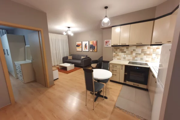 Shtepi me qera 1+1 ne Tirane - 550 Euro