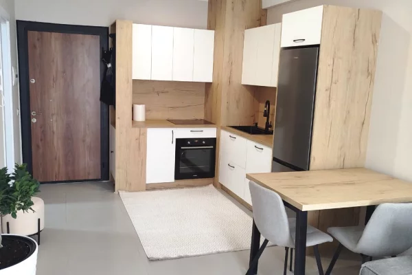 Apartment for rent in Tirana 1+1, Furnished