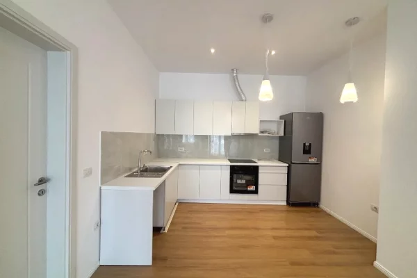 Shtepi me qera 1+1 ne Tirane - 50,000 Leke