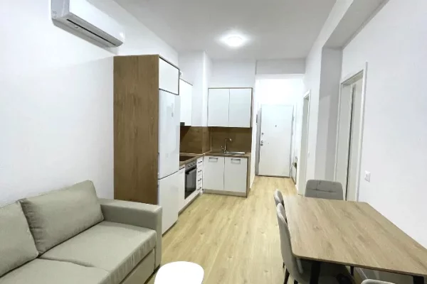House for Rent 1+1 in Tirana - 38,000 Leke