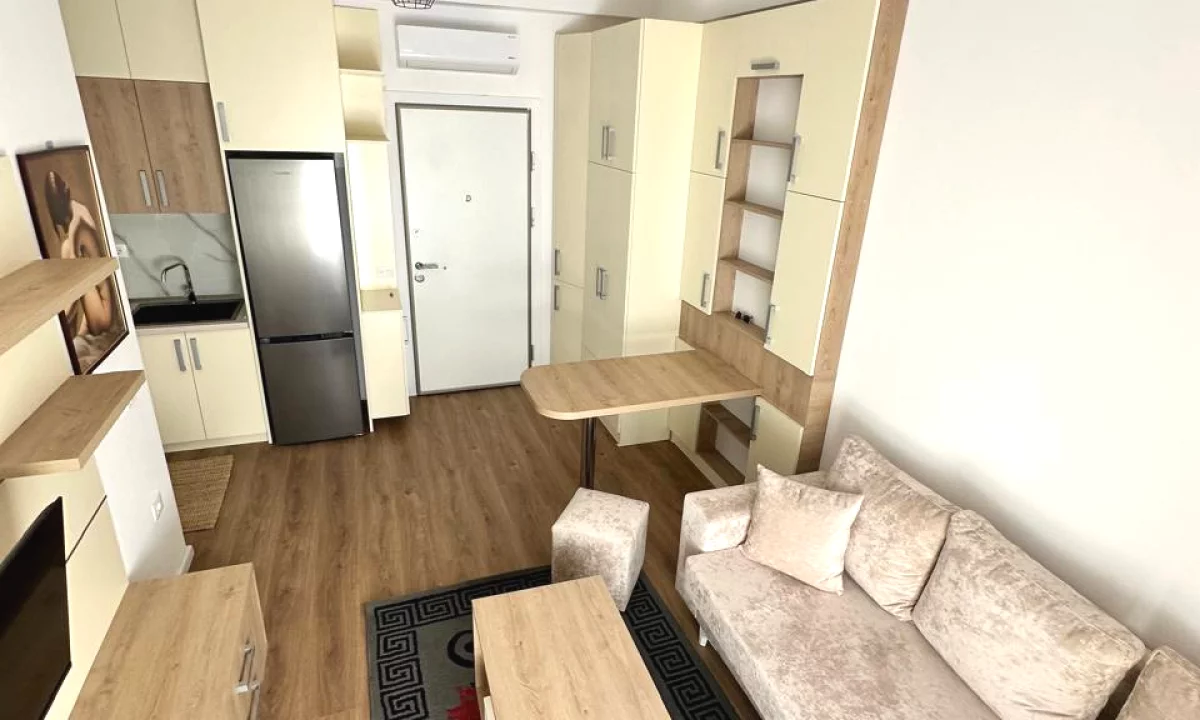 Shtepi me qera Apartament ne Tirane, 1+1, Mobilimi E mobiluar, Pagesa 450  Euro.