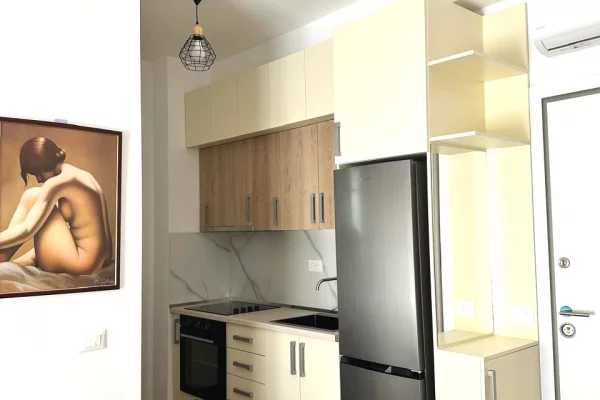 Shtepi me qera Apartament ne Tirane, 1+1, Mobilimi E mobiluar, Pagesa 450  Euro.