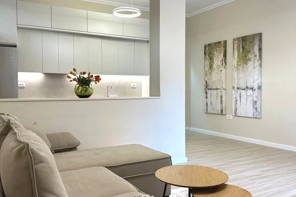 Shtepi me qera Apartament ne Tirane, 1+1, Mobilimi E mobiluar, Pagesa 55,000  Leke.