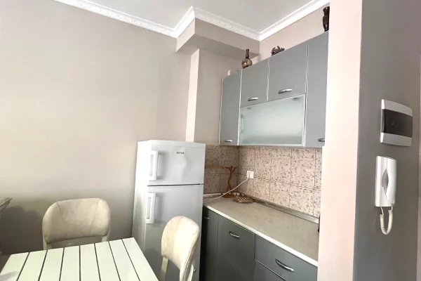 Shtepi me qera Apartament ne Tirane, 1+1, Mobilimi E mobiluar, Pagesa 40,000  Leke.