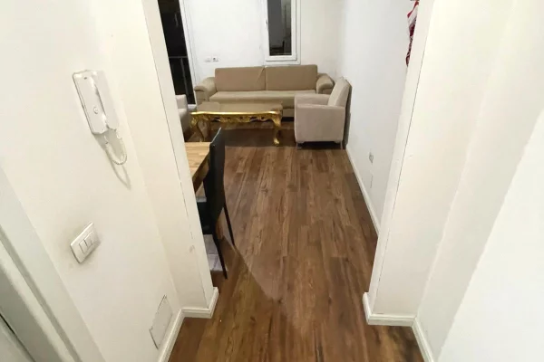 Shtepi me qera Apartament ne Tirane, 3+1, Mobilimi E mobiluar, Pagesa 900  Euro.