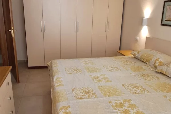 Appartamento in affitto a Tirana 1+1, Arredato