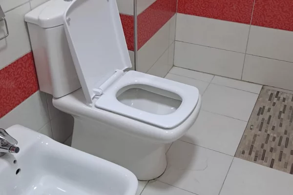 Shtepi me qera Apartament ne Tirane, 2+1, Mobilimi E mobiluar, Pagesa 55,000  Leke.