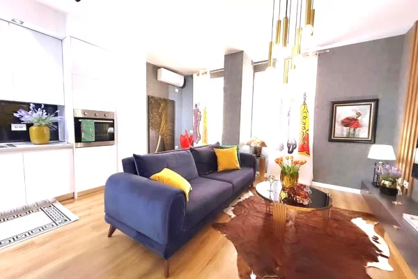 Shtepi me qera Apartament ne Tirane, 1+1, Mobilimi E mobiluar, Pagesa 800  Euro.