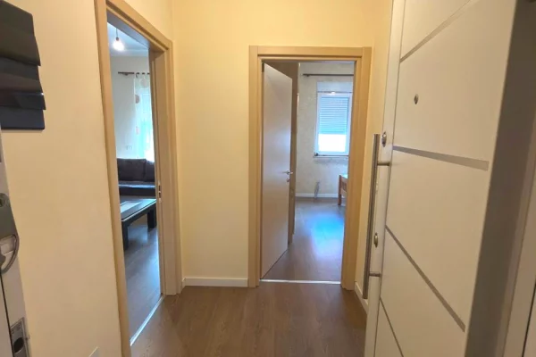 Shtepi me qera Apartament ne Tirane, 1+1, Mobilimi E mobiluar, Pagesa 55,000  Leke.