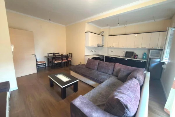 Shtepi me qera 1+1 ne Tirane - 55,000 Leke