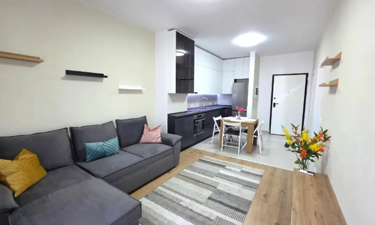 Shtepi me qera Apartament ne Tirane, 1+1, Mobilimi E mobiluar, Pagesa 53,000  Leke.