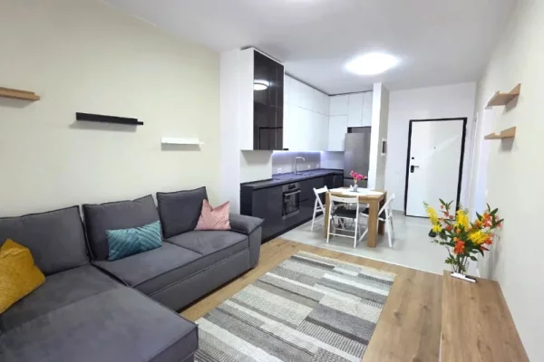 Shtepi me qera 1+1 ne Tirane - 53,000 Leke