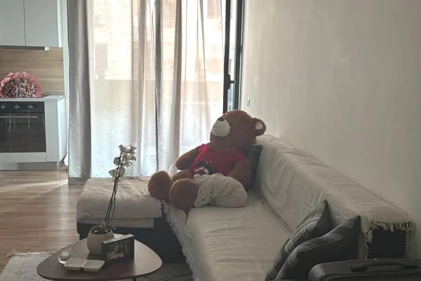 Shtepi me qera Apartament ne Tirane, 1+1, Mobilimi E mobiluar, Pagesa 60,000  Leke.