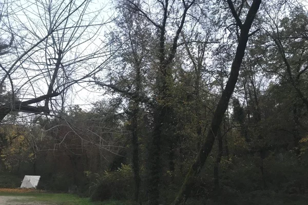 Truall ose Toke ne Tirane - 1,700,000 Euro