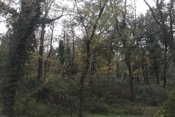 Truall ose Toke ne Tirane - 1,700,000 Euro