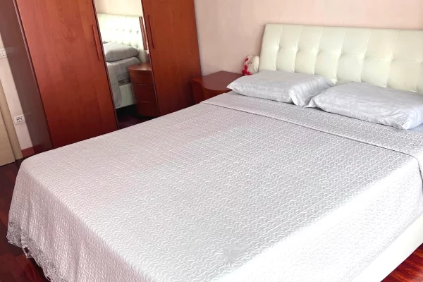 Shtepi me qera Apartament ne Tirane, 1+1, Mobilimi E mobiluar, Pagesa 55,000  Leke.