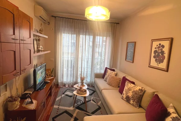 Shtepi me qera Apartament ne Tirane, 1+1, Mobilimi E mobiluar, Pagesa 55,000  Leke.
