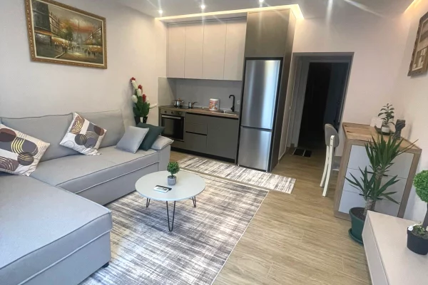 Shtepi me qera Apartament ne Tirane, 1+1, Mobilimi E mobiluar, Pagesa 40,000  Leke.