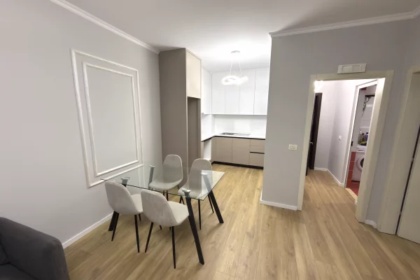 Shtepi ne shitje Apartament ne Tirane, 1+1, Mobilimi E mobiluar, Pagesa 118,001  Euro.