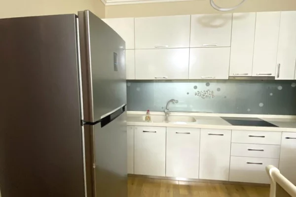 Shtepi me qera Apartament ne Tirane, 1+1, Mobilimi E mobiluar, Pagesa 52,000  Leke.