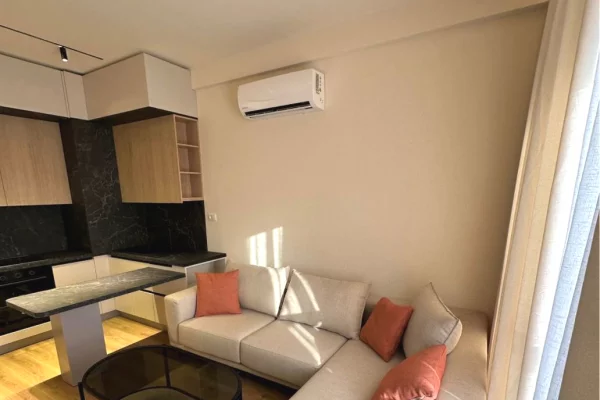 Shtepi me qera Apartament ne Tirane, 1+1, Mobilimi E mobiluar, Pagesa 50,000  Leke.