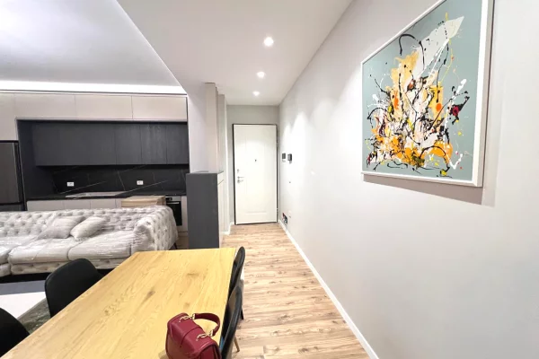 Shtepi me qera Apartament ne Tirane, 1+1, Mobilimi E mobiluar, Pagesa 80,000  Leke.