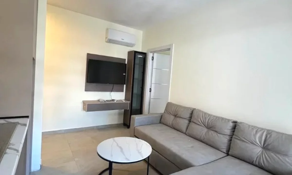 Shtepi me qera Apartament ne Tirane, 1+1, Mobilimi E mobiluar, Pagesa 750  Euro.