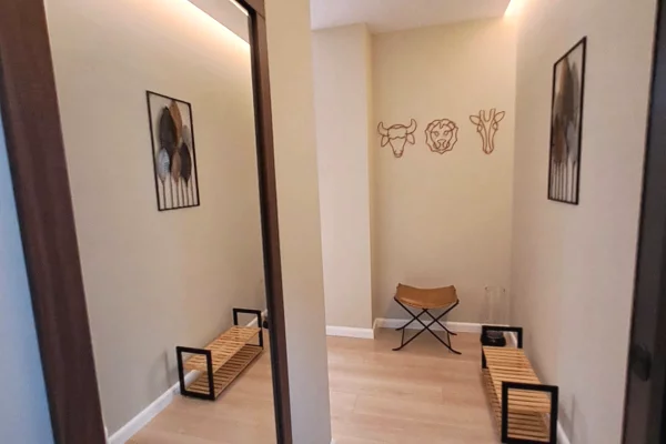 Shtepi me qera Apartament ne Tirane, 1+1, Mobilimi E mobiluar, Pagesa 700  Euro.