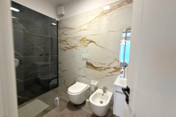 Shtepi me qera Apartament ne Tirane, 2+1, Mobilimi E mobiluar, Pagesa 1,300  Euro.