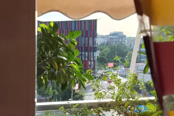 Shtepi me qera Apartament ne Tirane, 2+1, Mobilimi E mobiluar, Pagesa 1,500  Euro.
